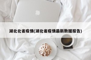 湖北北省疫情(湖北省疫情最新数据报告)