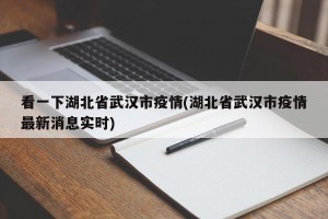 看一下湖北省武汉市疫情(湖北省武汉市疫情最新消息实时)