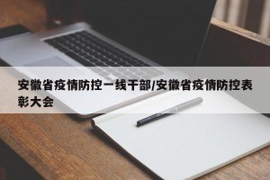 安徽省疫情防控一线干部/安徽省疫情防控表彰大会